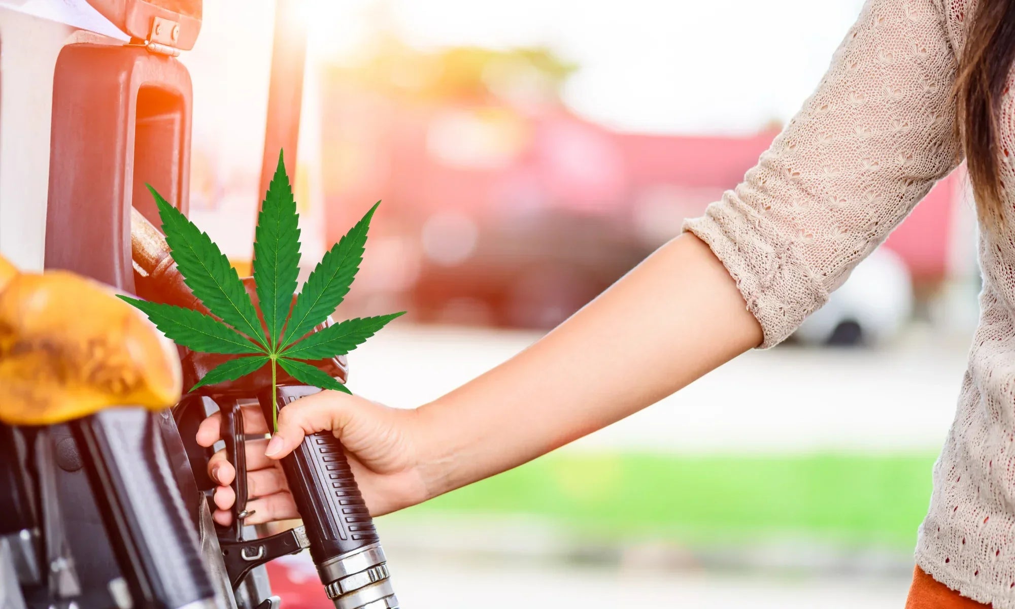 Can Hemp Replace Fossil Fuel?